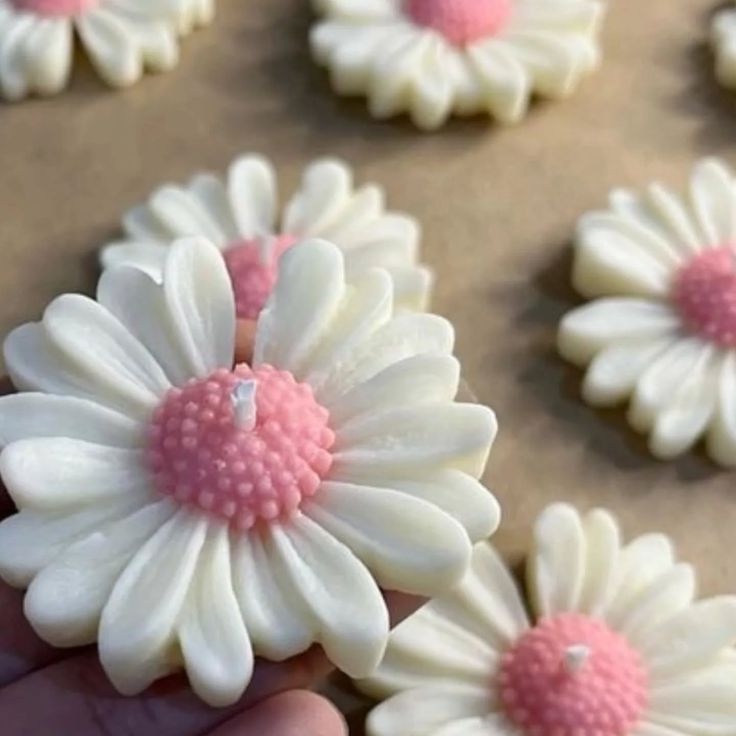 شمع بابونه رو آبی