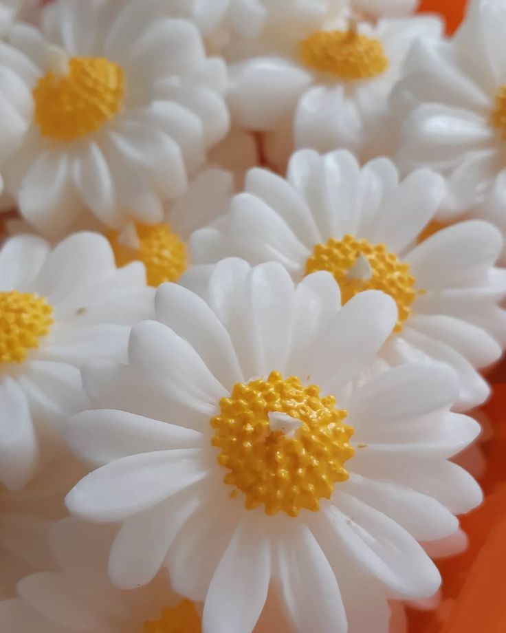 شمع بابونه فانتزی