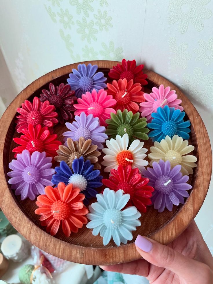 بابونه رنگی فانتزی