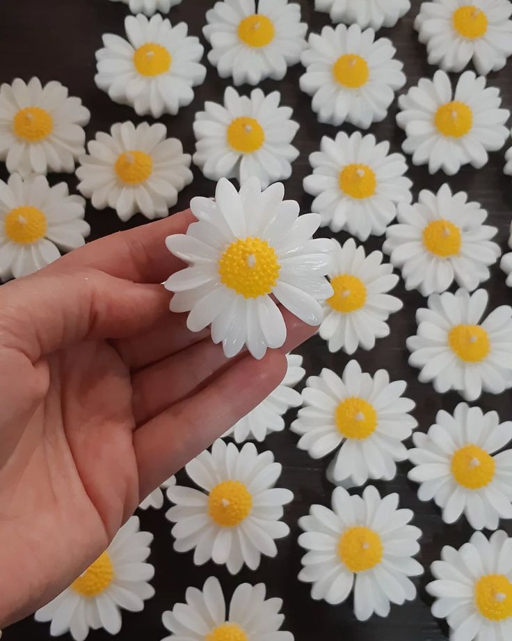 شمع رو آبی بابونه